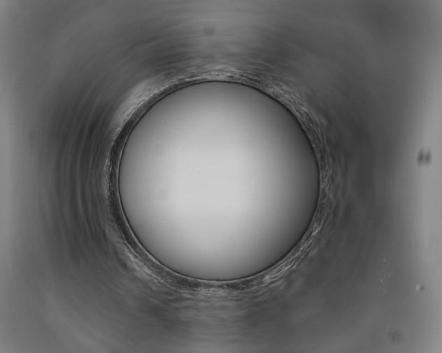 X0000093130242200709261041