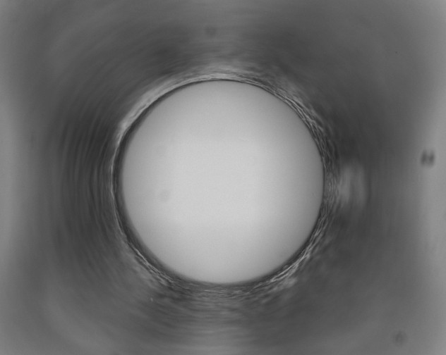 X0000093130244200709261042