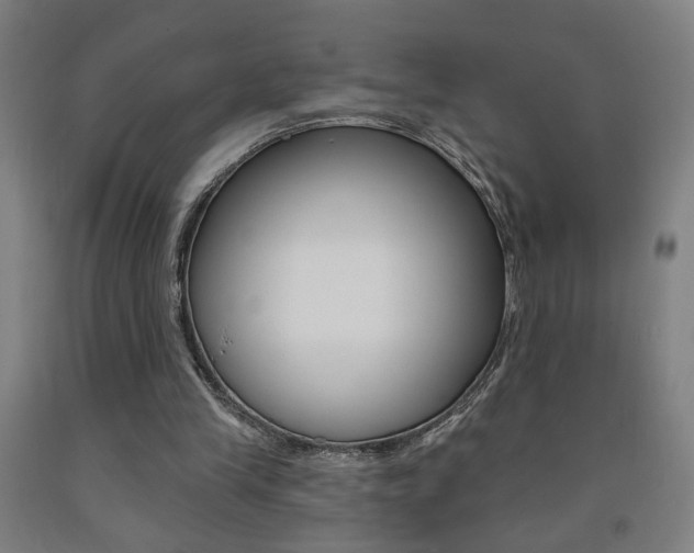 X0000093130245200709261042
