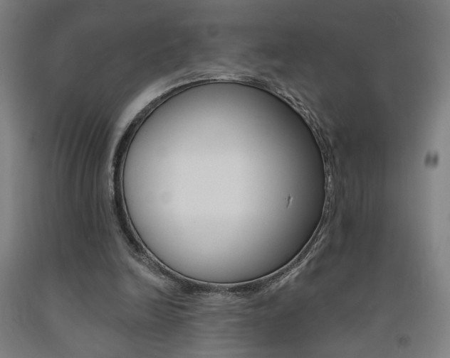 X0000093130246200709261042