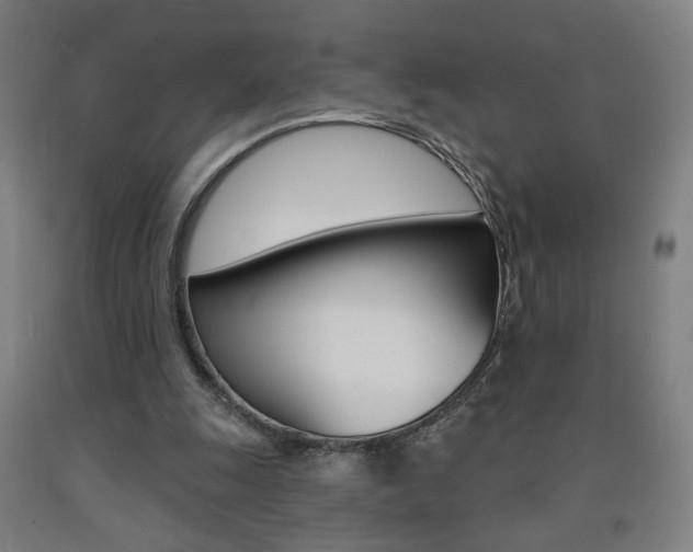 X0000093130247200709261042