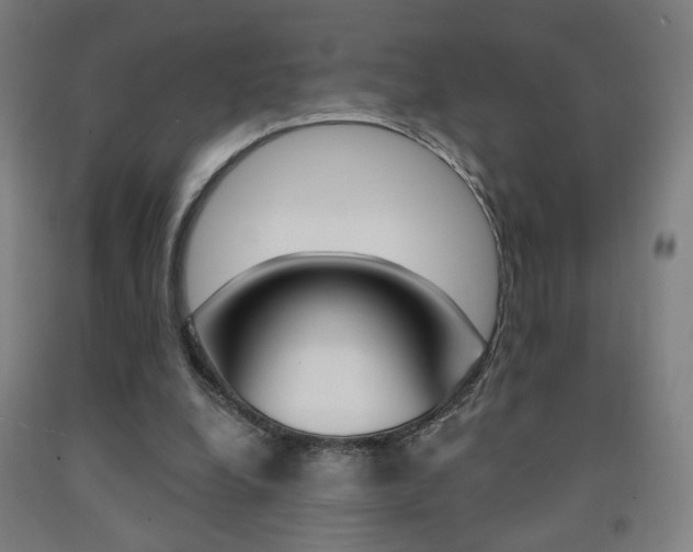 X0000093130248200709261042