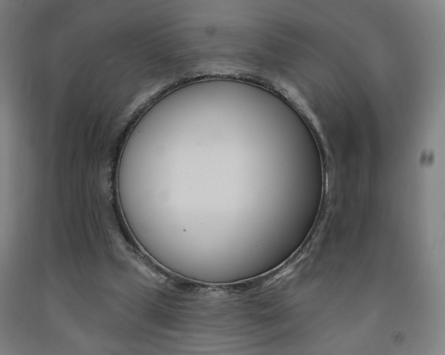 X0000093130249200709261042