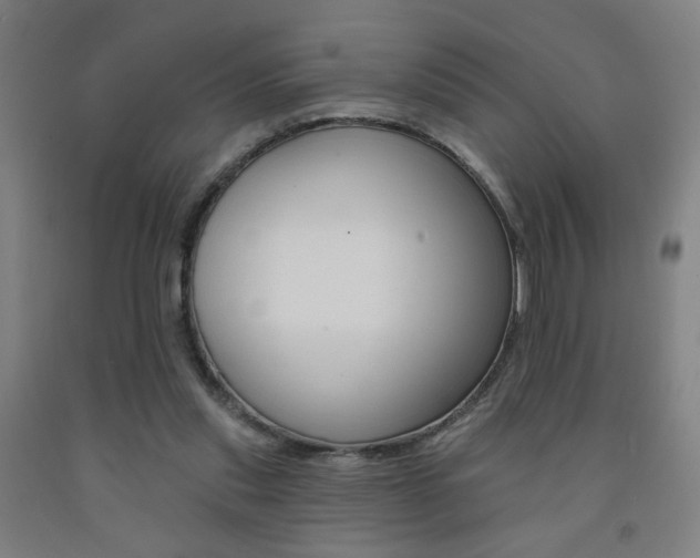 X0000093130253200709261042