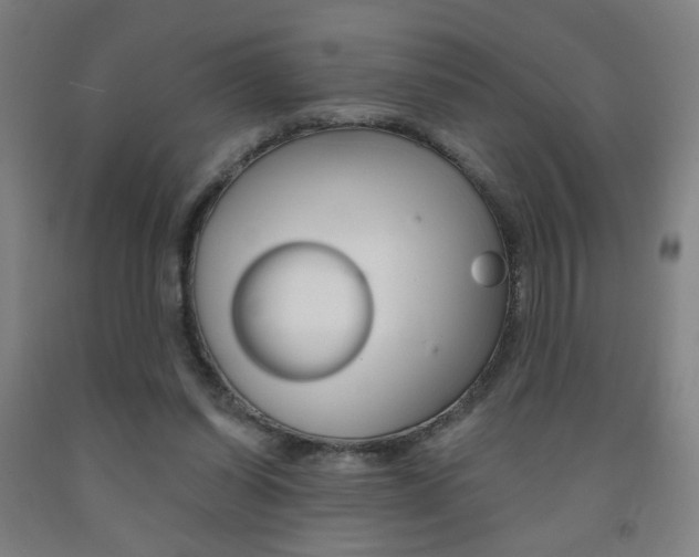 X0000093130254200709261042