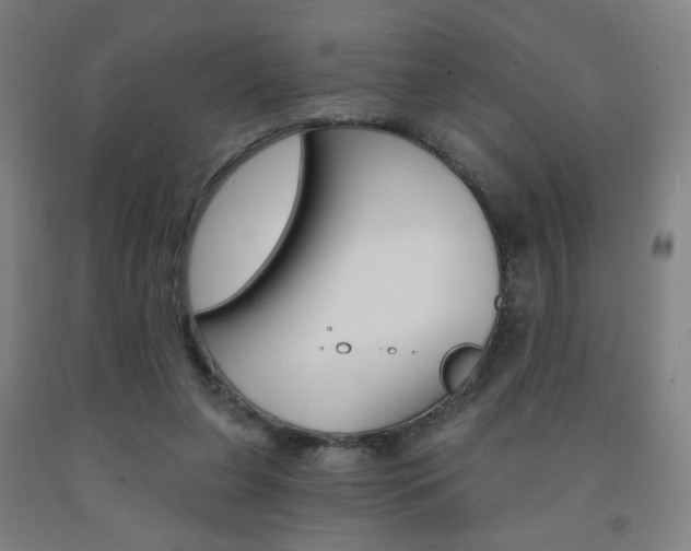 X0000093130255200709261042