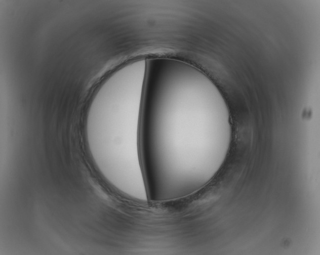 X0000093130256200709261042