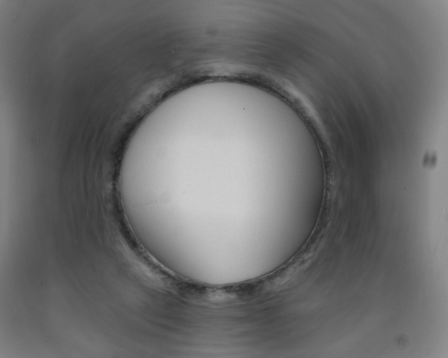X0000093130257200709261042
