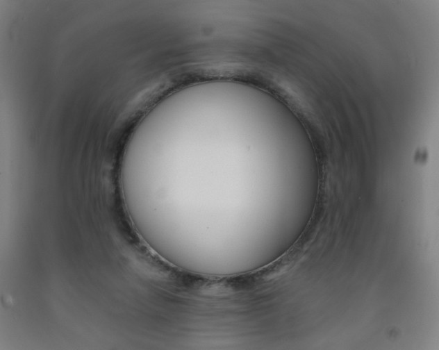 X0000093130258200709261042