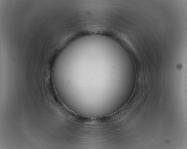 X0000093130259200709261042