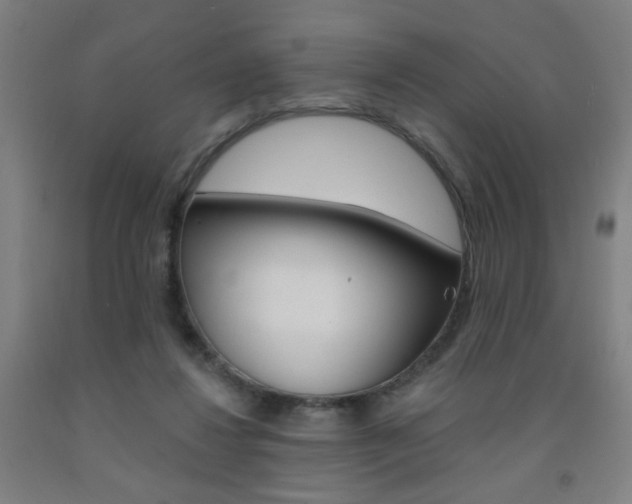 X0000093130260200709261042