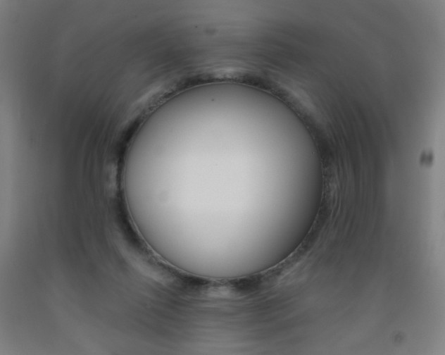 X0000093130262200709261042