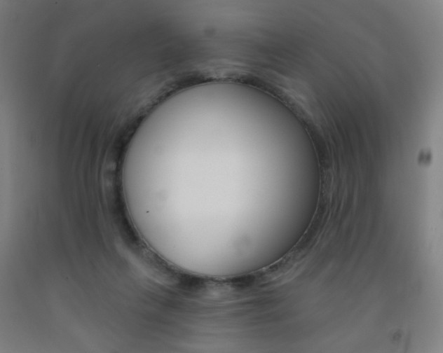 X0000093130263200709261042