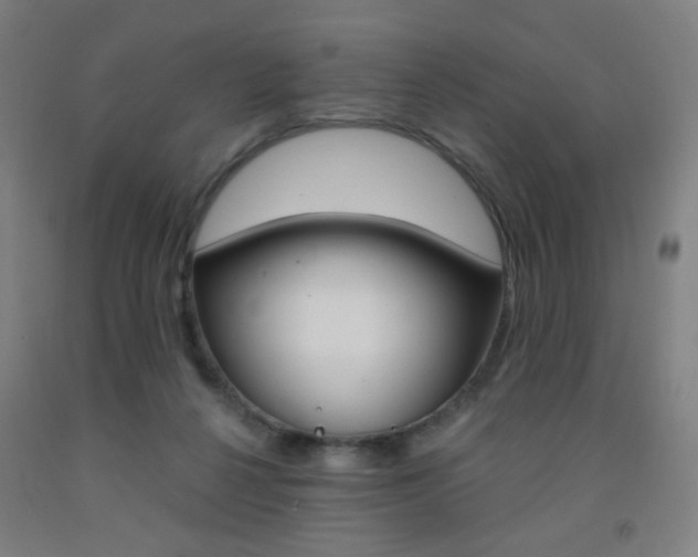 X0000093130264200709261042