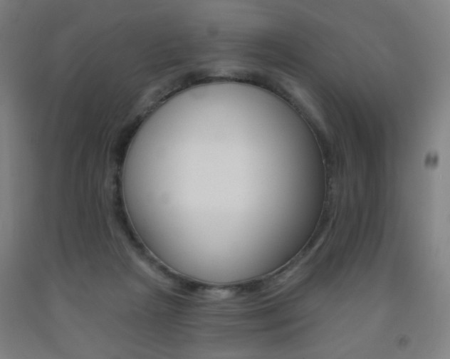 X0000093130265200709261042