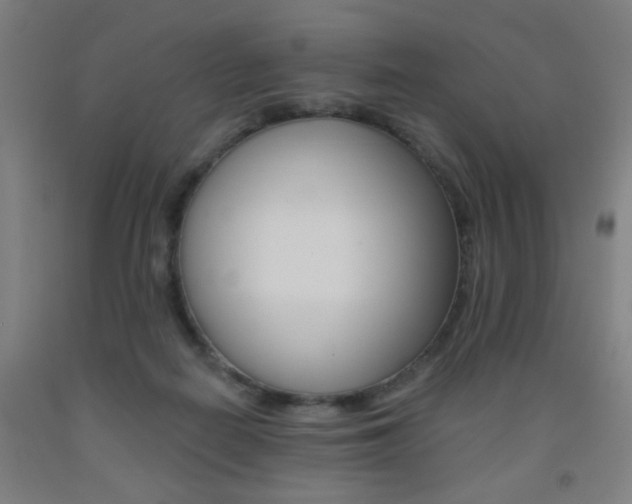 X0000093130266200709261042