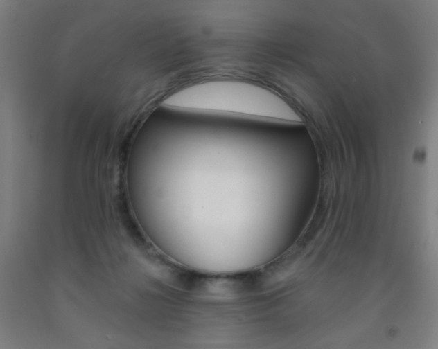 X0000093130268200709261042