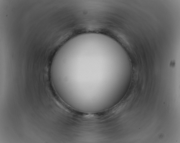 X0000093130269200709261042