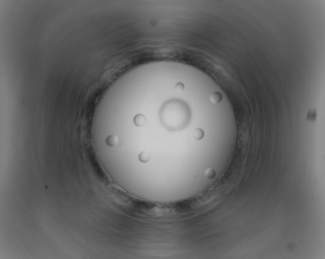 X0000093130270200709261042