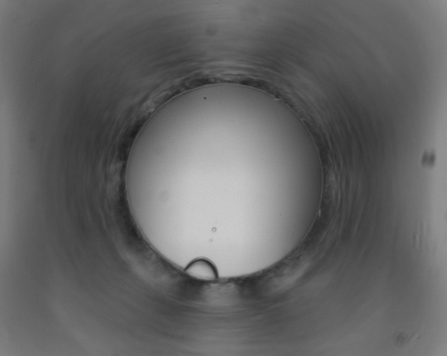 X0000093130271200709261042