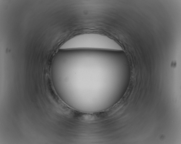 X0000093130272200709261042