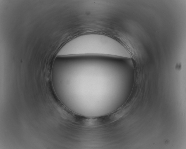 X0000093130273200709261042