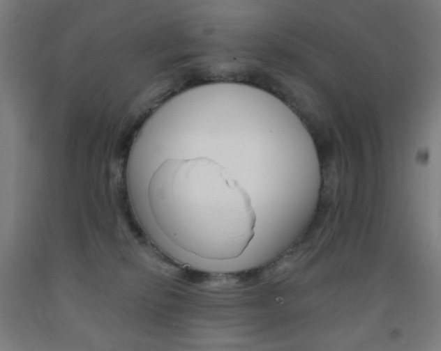 X0000093130278200709261042