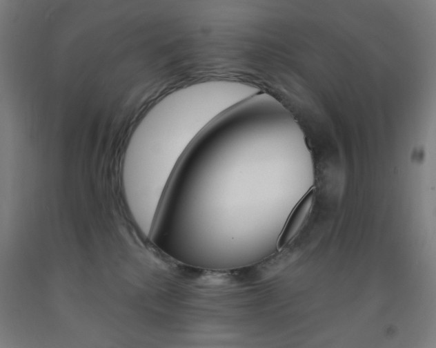 X0000093130280200709261042