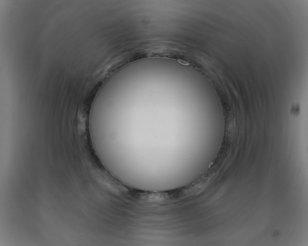 X0000093130282200709261042
