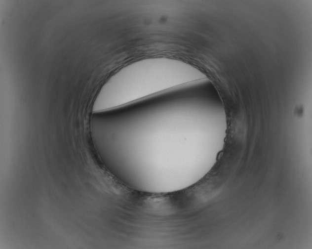 X0000093130283200709261042
