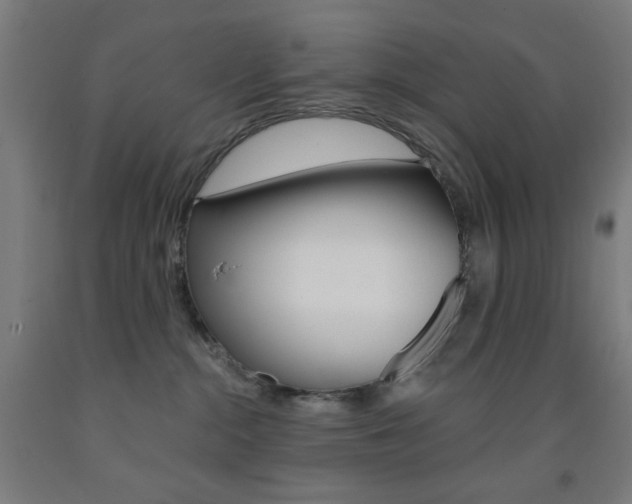 X0000093130284200709261042