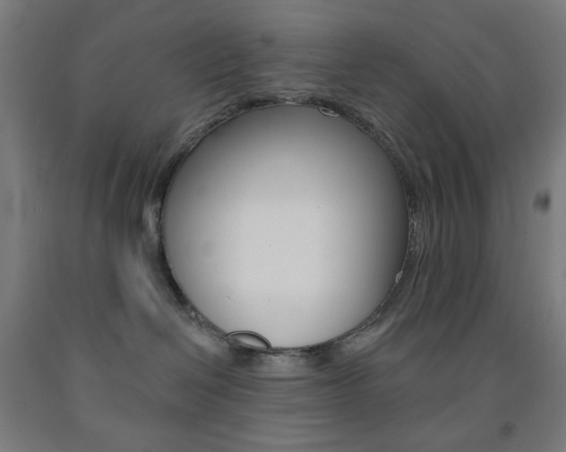 X0000093130286200709261042