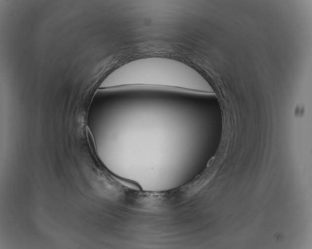 X0000093130288200709261042
