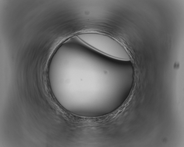 X0000093130289200709261041