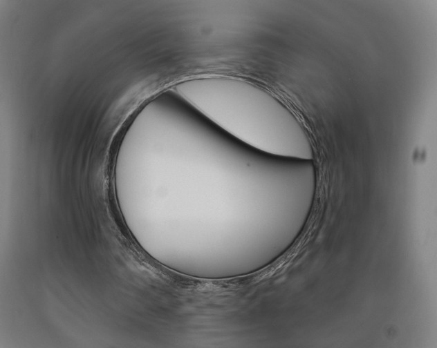 X0000093130290200709261041