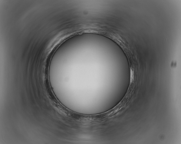 X0000093130291200709261041