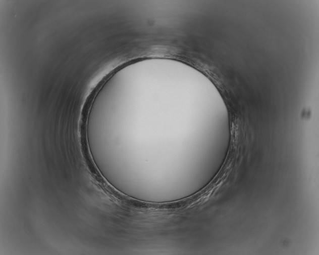 X0000093130292200709261041