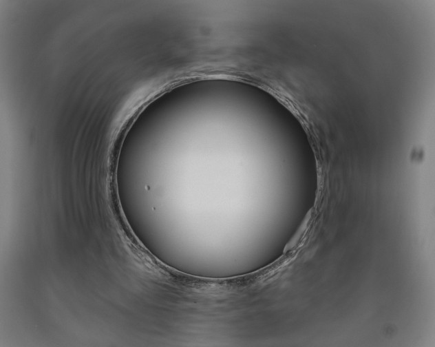 X0000093130293200709261041