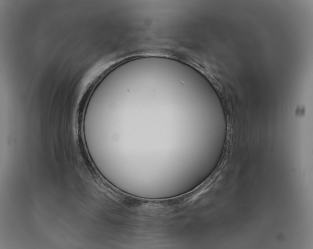 X0000093130294200709261041