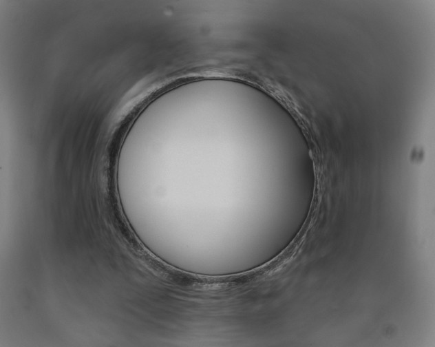 X0000093130295200709261041