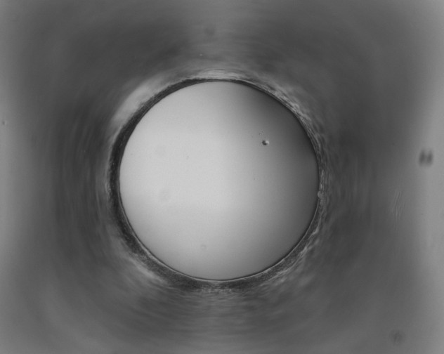X0000093130296200709261041