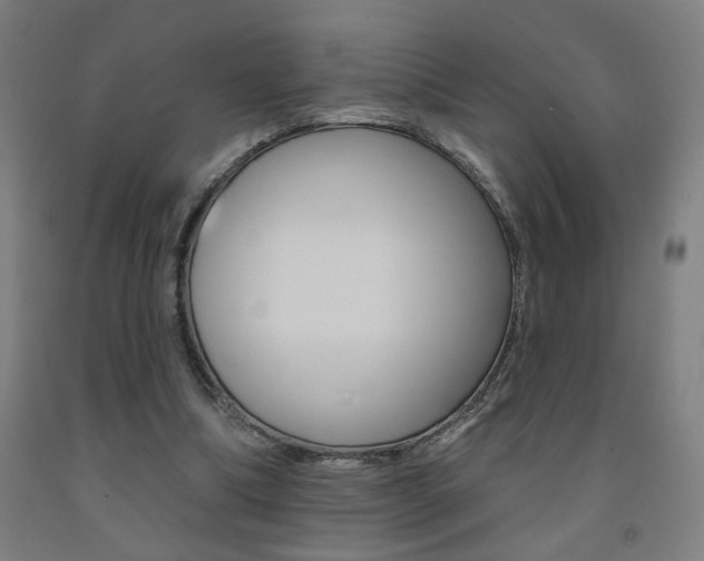 X0000093130298200709261041