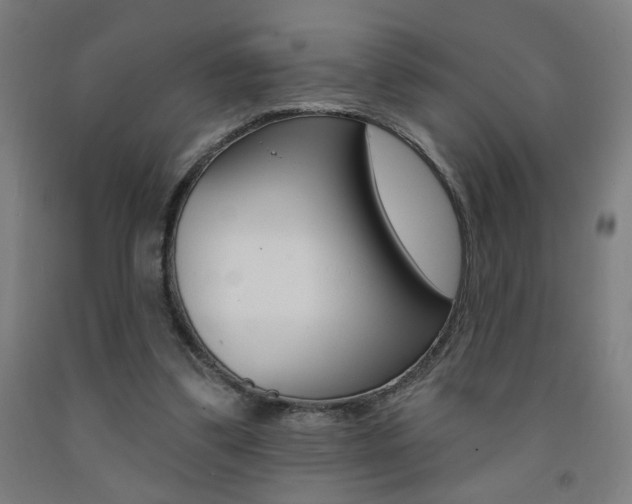 X0000093130299200709261041