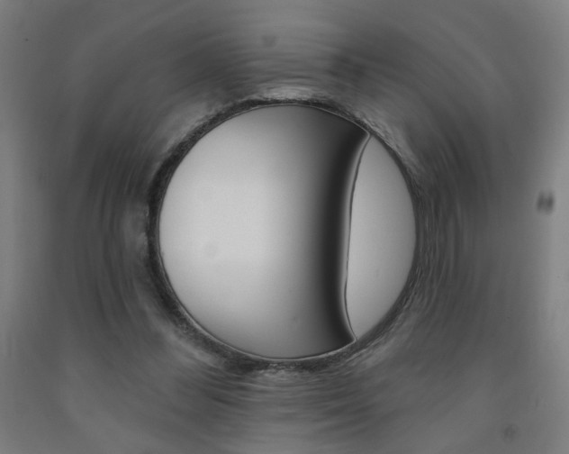 X0000093130300200709261041
