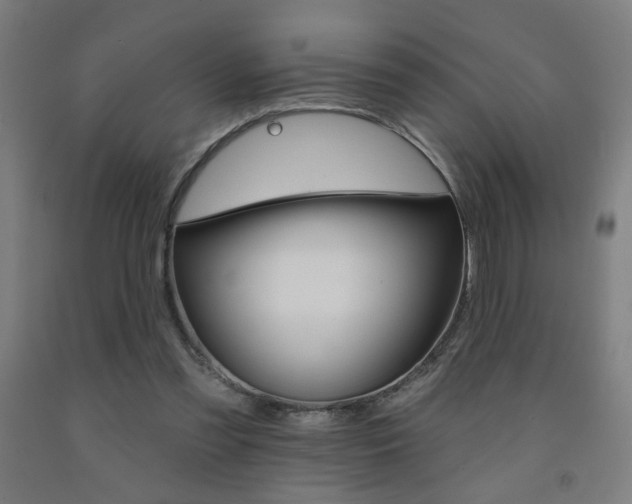 X0000093130301200709261041