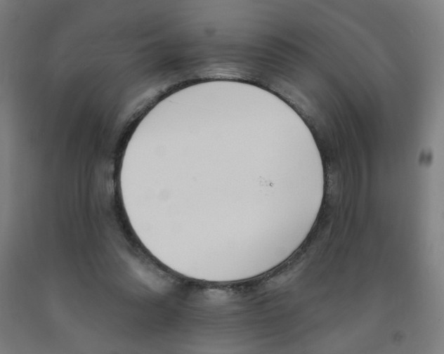 X0000093130302200709261041