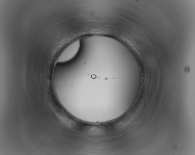 X0000093130303200709261041