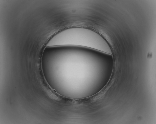 X0000093130305200709261041