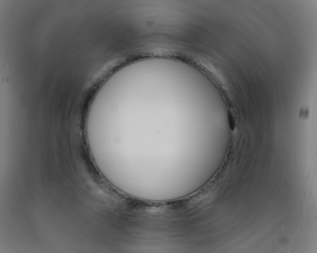 X0000093130306200709261041