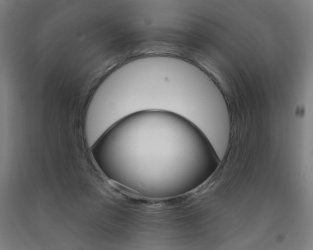 X0000093130309200709261041